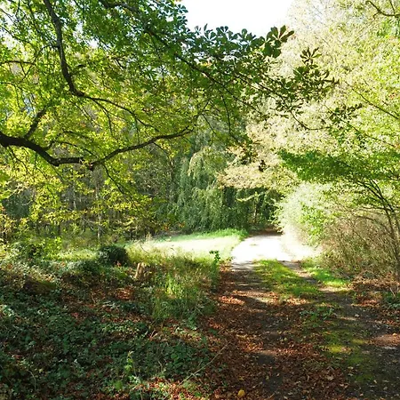 La Tour De Serinchamps